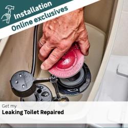 Repairs: Leaking Toilet Repair