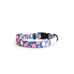 Dog Collar Eat Drink And Be Berry - Medium