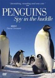 Penguins: Spy In The Huddle DVD