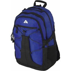 Ozark Trail Manokotok 20-LITER Backpack - Blue