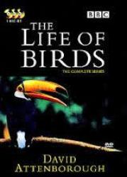 Tv Series - The Life Of Birds