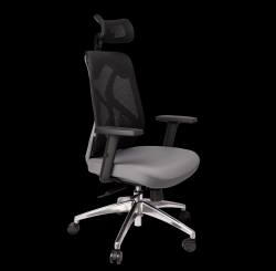 Wp Ergonomic Adjustable Office Chair - Black