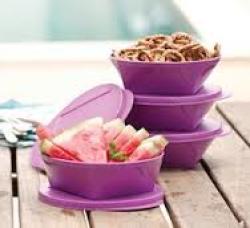 Tupperware Outdoor Dining Bowl Set 600ML X 4 New Purple Colour