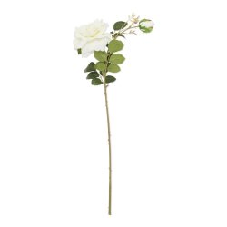 @home Antique Rose With 2 Stems White 78CM