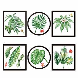 Jcnfa-wall Sticker Green Tropical Plant Living Room Wall Wall Decoration Self-adhesive Color : A Size : 8061CM
