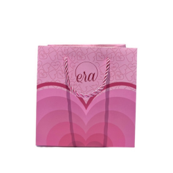 Pink Era Gift Bag - Medium
