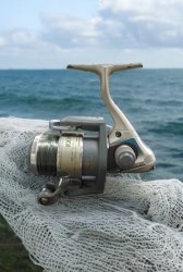 Sedona 100 F Fishing Reel