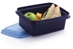 Tupperware Pack And Snack Large Lunch Box Also Available In Aqua Or Mango