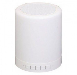 Portable Multifunctional Touch Lamp Speaker - CL-671
