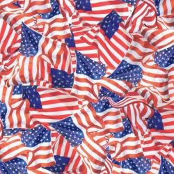 Hydrographic Film Kit in American Flags Film