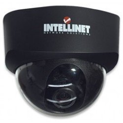 Intellinet NFD30 Network Dome Camera MPEG4 +
