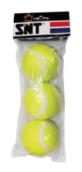 SNT Tennis Balls 3EA