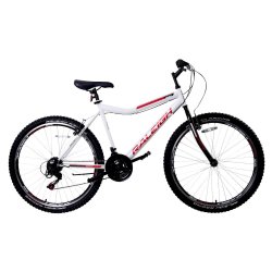 26IN Ascent Mountain Bike