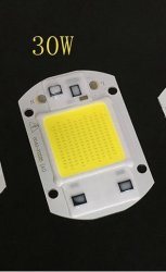 Ocamo LED Ac 110V 220V Floodlight Cob Chip Smart Ic Driver Bulb Lamp 20W 30W 50W 30W AC110V Cool White