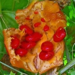 10 Momordica Balsamina Seeds - Edible Fruit - Balsam Pear Balsam Apple - Vine Creeper Climber