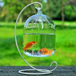Haoun Hanging Fish Tank Creative Fish Vase Glass Transparent Goldfish Bowl For Home Decoration With Bracket White Bracket