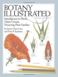 Botany Illustrated 2nd Ed. - Introduction To Plants Major Groups Flowering Plant Families