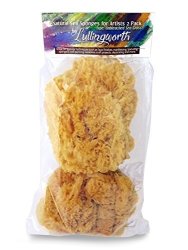 Natural Sea Sponges For Artists - Unbleached 5"-5.5" 2PC Value Pack: Great For Painting Decorating Texturing Sponging Marbling Effects Faux Finishes Crafts More