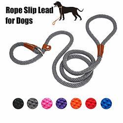 dog leash small