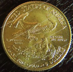 2013 U.s.a. Tenth Ounce 1 10oz Fine Gold Eagle Coin
