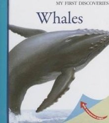 Whales Spiral Bound