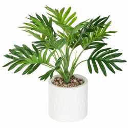 Palm Dd Plant Tree In Cem Pot 30X29CM