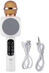 Wireless Microphone Hifi Speaker WS-1816