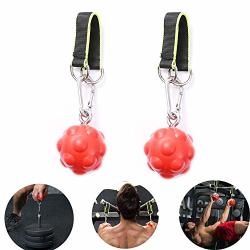 Pull Up Power Climbing Ball Hold Grips Climbing Solid Training Cannonball Bomb Ball For Straps For Finger Forearm Biceps Back Muscles-free Carry Bag Included Pro