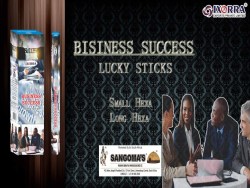 Business Success Lucky Sticks