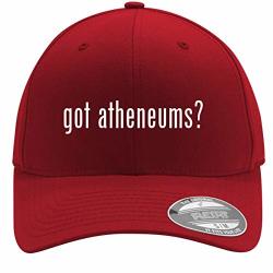 Got Atheneums? - Adult Men's Flexfit Baseball Hat Cap Red Small medium