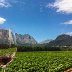 Winelands Celebration Experience Special - Gourmet Pizza & Wine