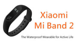 Local Stock" Xiaomi Mi Band 2 Smart Wristband