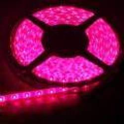Led Strip Lights 3528 60led mtr 12v Pink Water Resistant Price P mtr In Stock