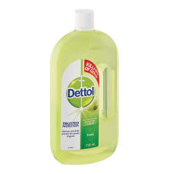 DETTOL Fresh Hygiene Liquid 12 X 750ml