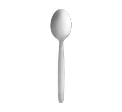 Catering Dessert Spoons 12-PACK