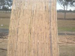 Bamboo Panels Fencing