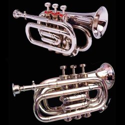 Classic Zweiss Pocket Cornet W Hardcase. Best Instrument To Learn Brass Music