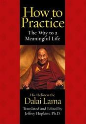 How to Practice : The Way to a Meaningful Life by Dalai Lama
