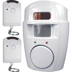 Mini Alarm System