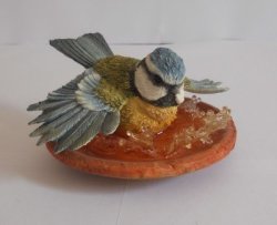 Bluetit Bathing - Collectors Guild By Country Artists