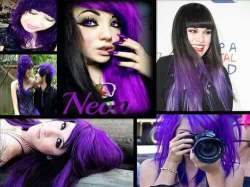 Neon Hair Dye-spesial-100g-neon Purple