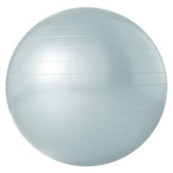Trojan Antiburst Body Ball 65CM Grey