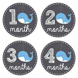 Pinkie Penguin Baby Monthly Stickers - Whale Theme - Baby Boy - 1-12 Months - Milestone Onesie Stickers - Month Stickers For Baby