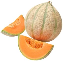 Sandveld Seeds Hale's Best Melon - Spanspek