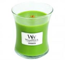 Woodwick Evergreen Medium Jar Retail Box No