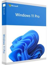 Windows 11 Professional 64-BIT Dsp DVD Software FQC-10528