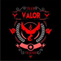 Team Valor- Pokemon Go Hoodie Navy