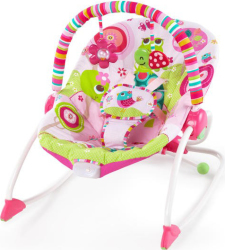 Bright Starts - Infant To Toddler Rocker - Raspberry Garden