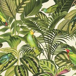 Freundin Tropical Parrot Wallpaper Green cream Rasch 439533