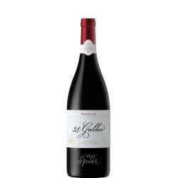Spier 21 Gables Pinotage - Single